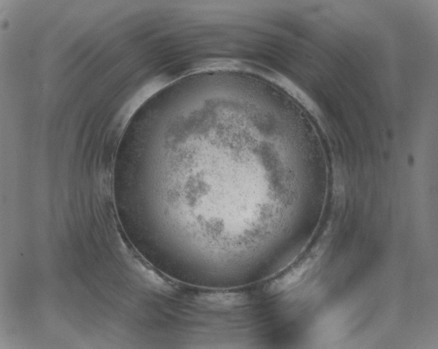 X0000062870953200601131438