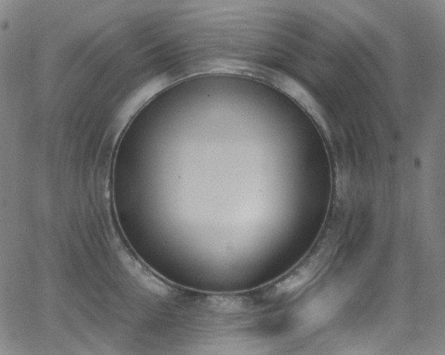 X0000062870954200601131438