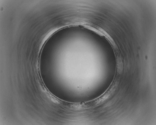 X0000062870956200601131438