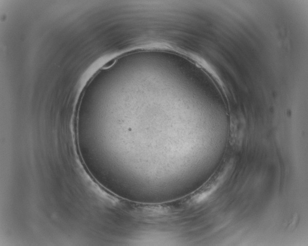 X0000062870959200601131438