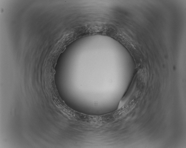 X0000062870961200601131437