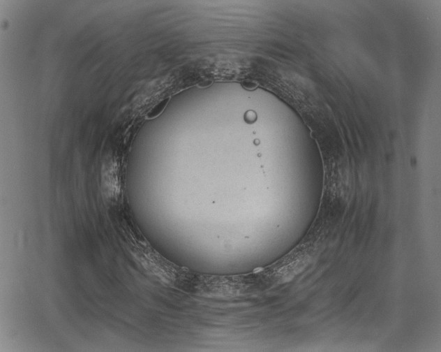 X0000062870962200601131437