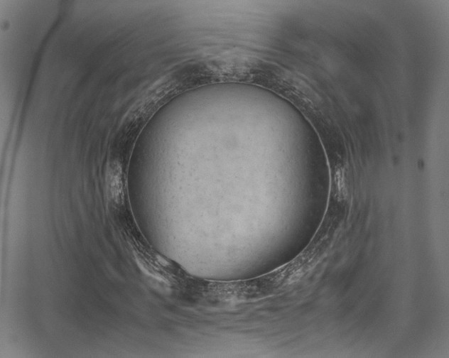 X0000062870963200601131437