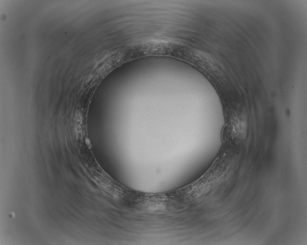 X0000062870964200601131437