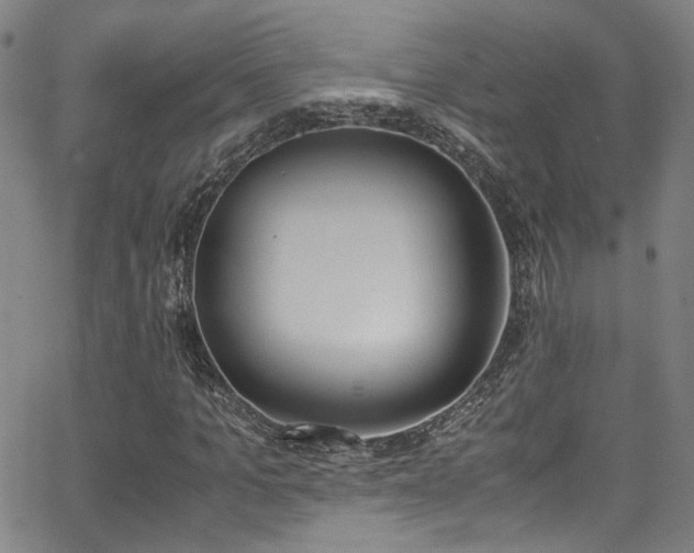 X0000062870965200601131437