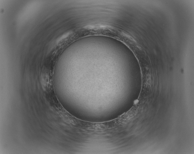 X0000062870966200601131437