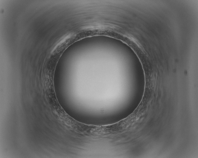 X0000062870967200601131437