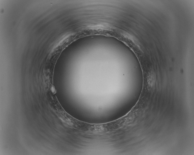 X0000062870968200601131437