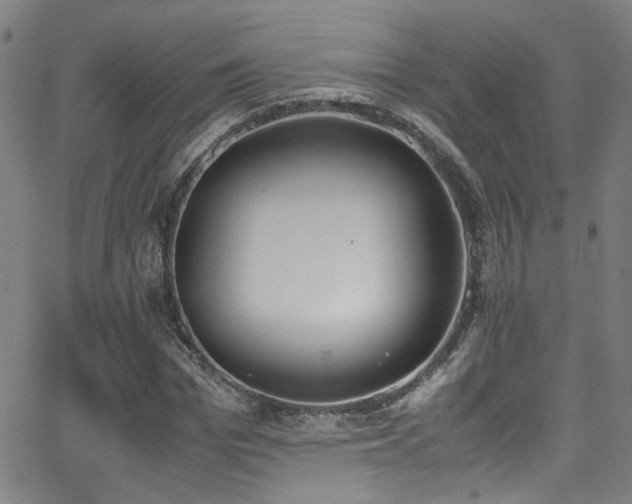 X0000062870969200601131437