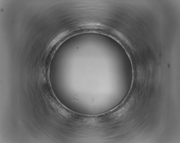 X0000062870970200601131437