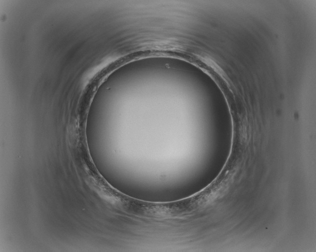 X0000062870971200601131437