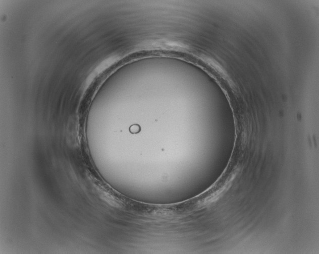 X0000062870974200601131437