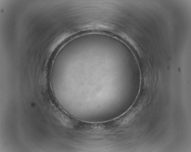 X0000062870975200601131437