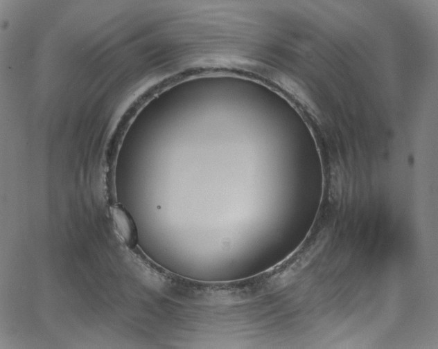 X0000062870976200601131437