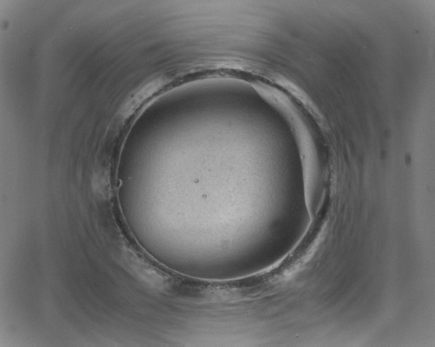 X0000062870977200601131437