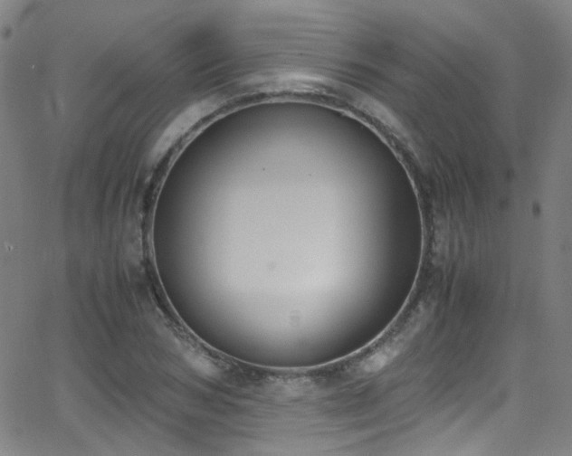 X0000062870978200601131437