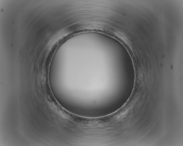 X0000062870979200601131437