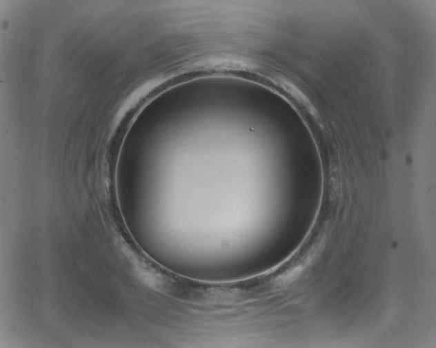 X0000062870981200601131437