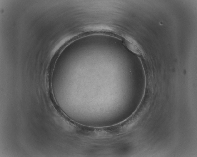 X0000062870983200601131437