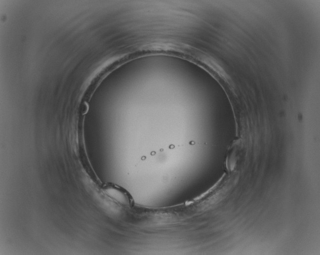 X0000062870984200601131437