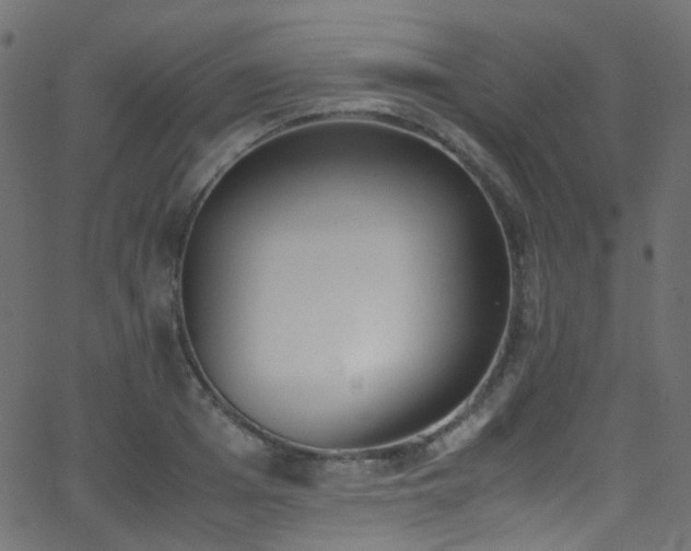 X0000062870985200601131437