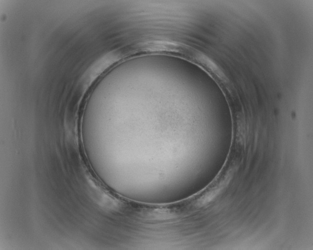 X0000062870986200601131437