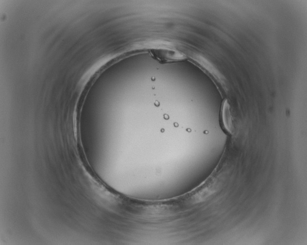 X0000062870988200601131437