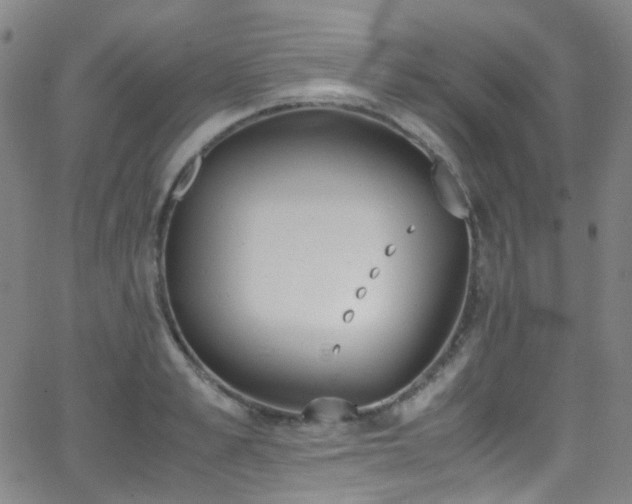 X0000062870989200601131437