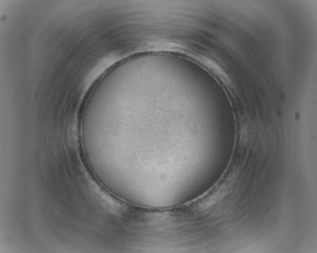 X0000062870990200601131437