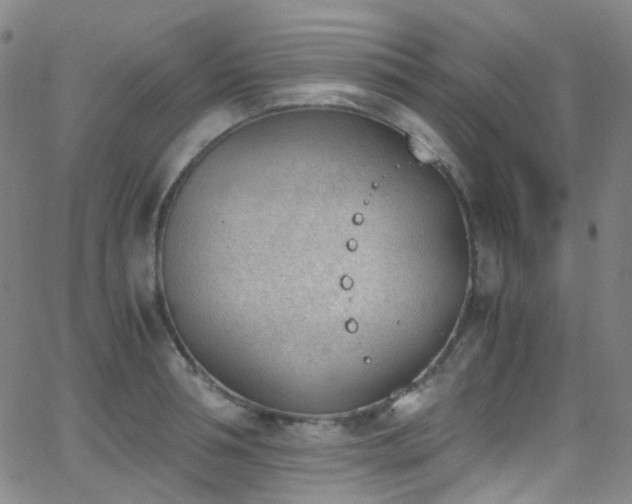 X0000062870994200601131437