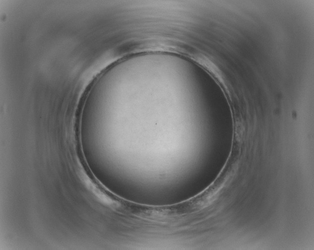 X0000062870995200601131437