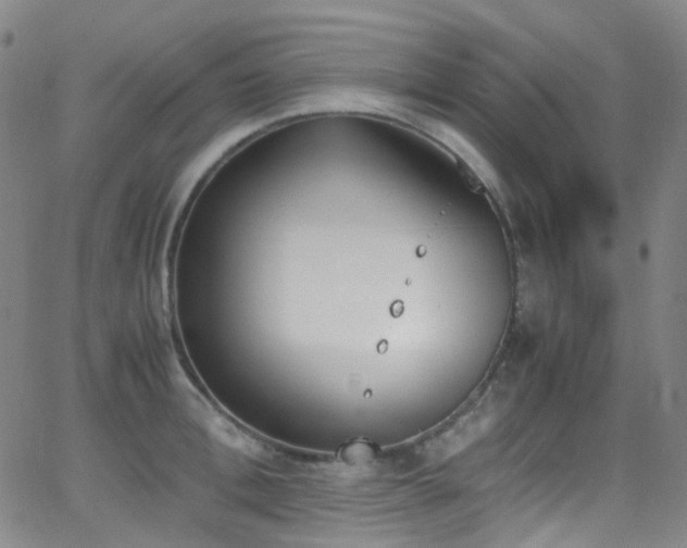 X0000062870996200601131437