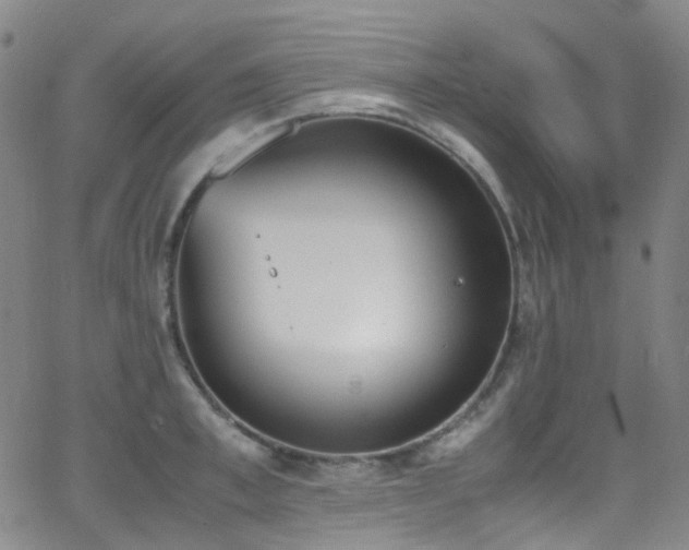 X0000062870997200601131437