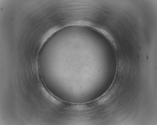 X0000062870998200601131436