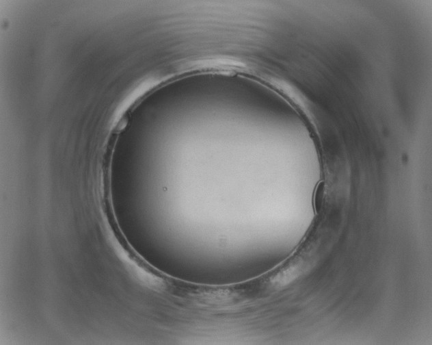 X0000062870999200601131436