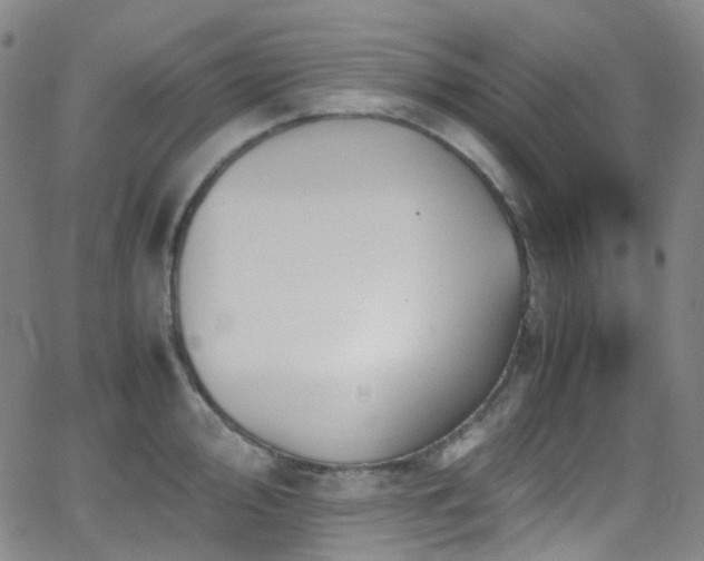 X0000062871000200601131436