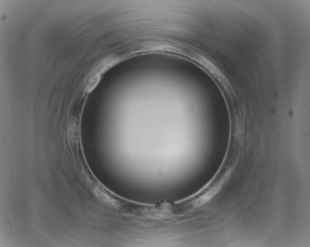 X0000062871001200601131436