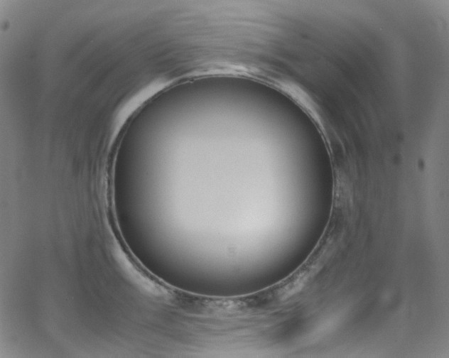 X0000062871003200601131436