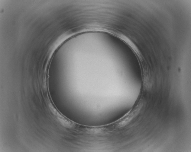 X0000062871004200601131436