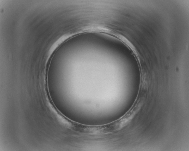 X0000062871005200601131436