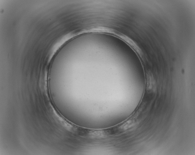 X0000062871006200601131436