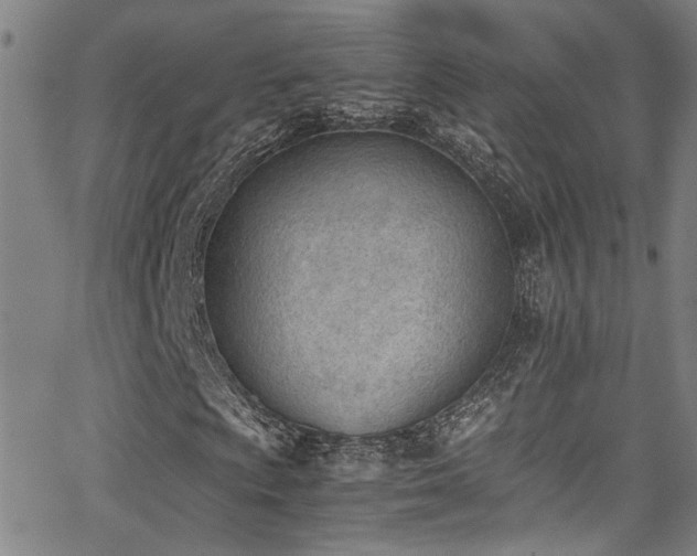 X0000062871009200601131436