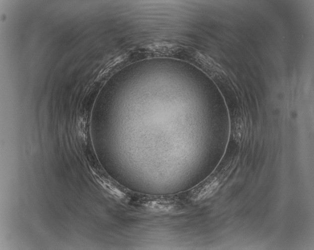 X0000062871010200601131436