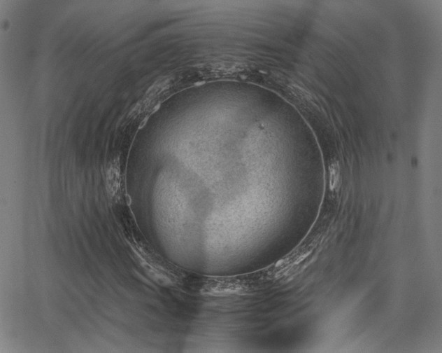 X0000062871011200601131436