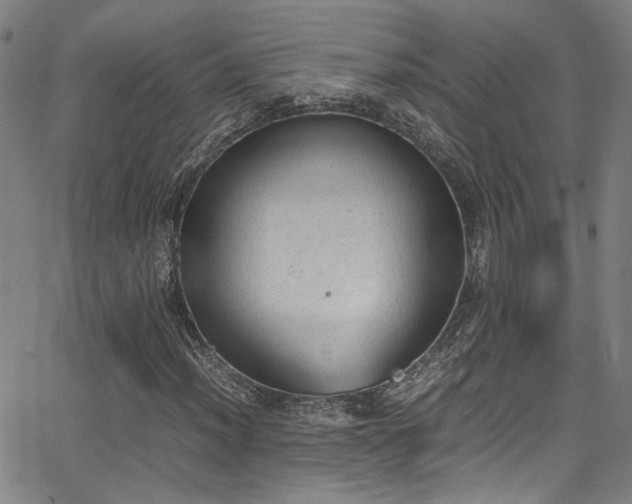 X0000062871012200601131436