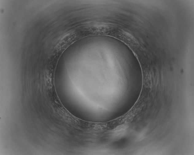 X0000062871013200601131436