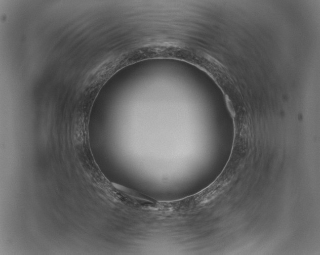 X0000062871014200601131436