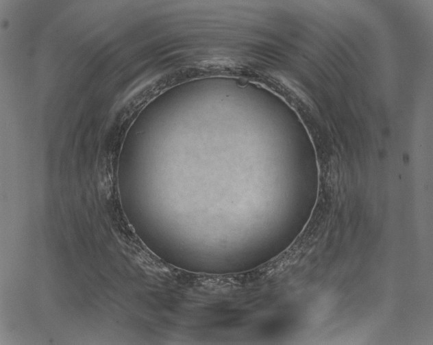 X0000062871015200601131436