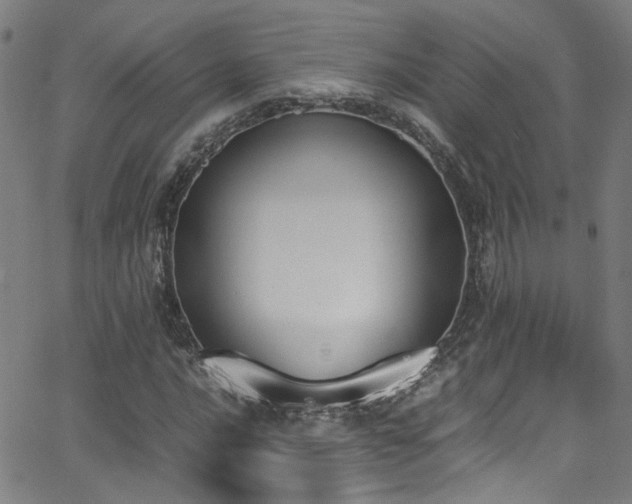 X0000062871016200601131436