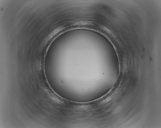 X0000062871017200601131436